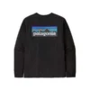 PatagoniaCamiseta Responsibili-tee L/S - Black