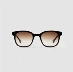 ChamplainGradient Sunglasses - Tortoise